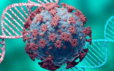 Estudio alerta sobre posibles efectos del covid-19 en la salud mental de las próximas generaciones