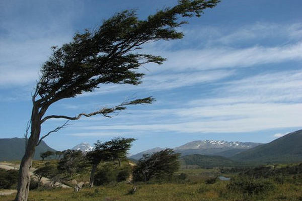 MARN anuncia ingreso del primer frente frío y llegada de Vientos Nortes al país