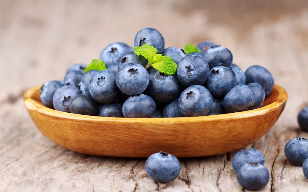 Descubre por qué el arándano es un superalimento recomendado por nutricionistas