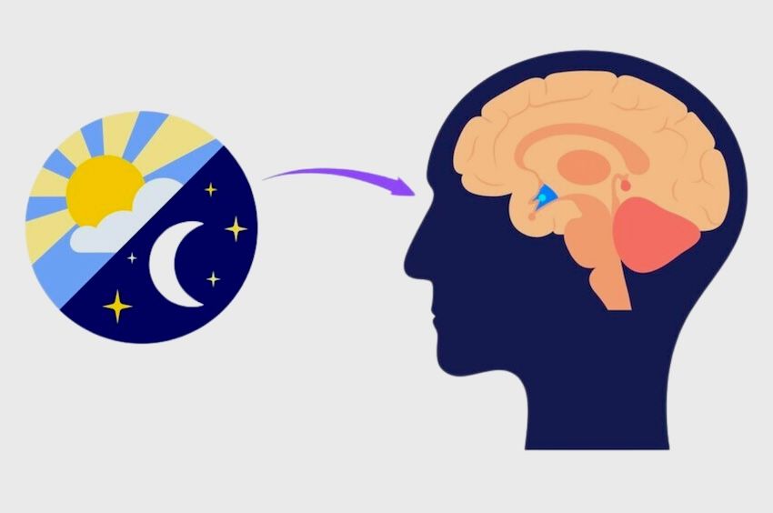 Expertos analizan si la melatonina está relacionada con la insuficiencia cardiaca