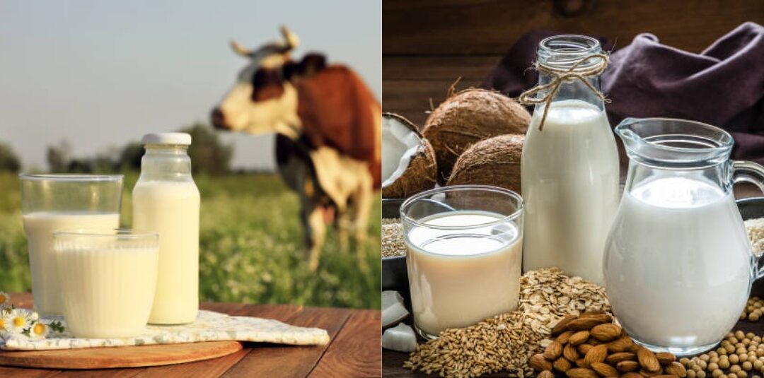 ¿Leche de vaca o vegetal? La elección saludable que no es igual para todos